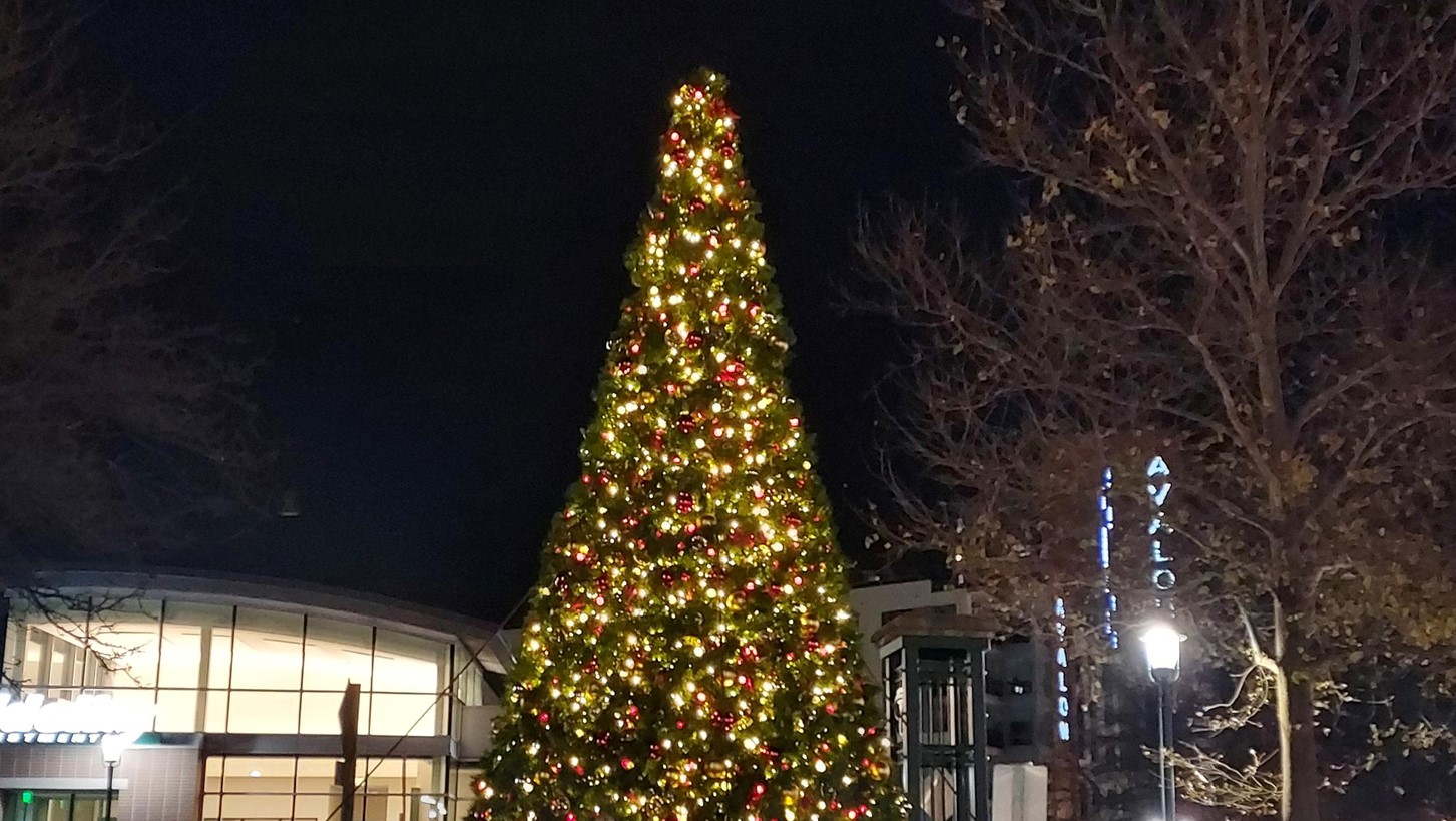 Lit Tree.jpg